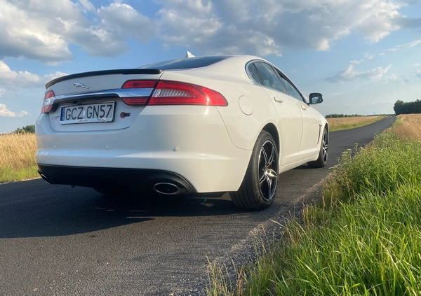 Jaguar XF cena 61500 przebieg: 62000, rok produkcji 2013 z Radomsko małe 137